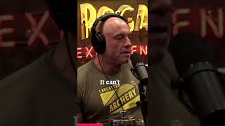 Leaked NulandPyatt Call Transcript Revealed Joe Rogan and Dave Smith Examine the Explosive Content [upl. by Acinorrev207]