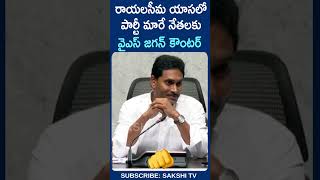 YSJagan ysrcp ysjaganwhatsappstatus ysjaganfans chandrababu pawankalyan apnews [upl. by Ytisahc597]