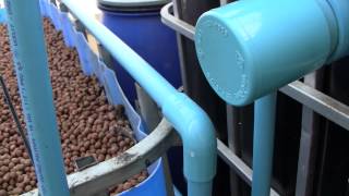 Aquaponics Plumbing and Adding a Filter [upl. by Hsirk]