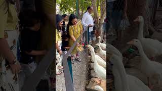 Devansh aya hai animal Dekh ne animals shorts trending youtubeshorts viral cutebaby ❤️❤️ [upl. by Chute]