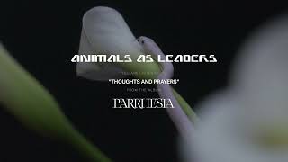 ANIMALS AS LEADERS  Thoughts and Prayers [upl. by Benjamen320]