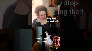 Cat vs Human  Hilarious Conversation I Lost🐱🙀 talkingcat shorts viral heterochromia sassy [upl. by Cece41]