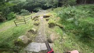 Rostrevor runs and natural trails  Northern Ireland mtb [upl. by Anirehc]