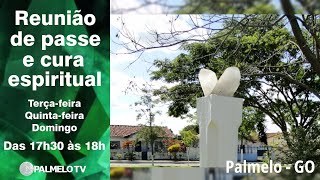 Reunião de Passe e Cura Espiritual N° 538 em 010924 [upl. by Airamas]