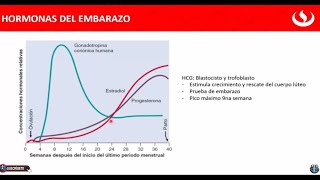 Hormonas del Embarazo  HCG  Blastocisto  Trofoblasto  Gonadotropina  Estradiol  Progesterona 👍 [upl. by Jess]