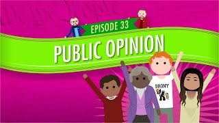 Public Opinion Crash Course Government and Politics 33 [upl. by Aelat968]