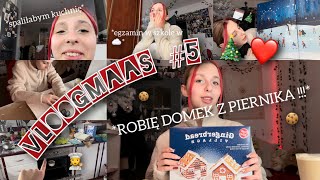 VLOGMAAAS 5 2023  domek z piernika egzamin w szkole w ☁️ prawie spaliłam dom…🏃‍♀️ [upl. by Kent474]