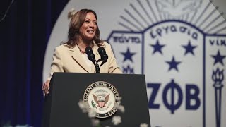 Voters react to Kamala Harris Indianapolis speech say whether theyve heard of Andy Beshear [upl. by Denis]