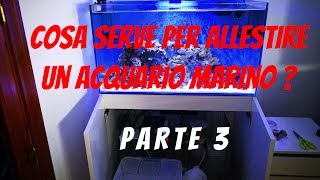 COME ALLESTIRE ACQUARIO MARINO 3° Parte Tecnica Skimmer riscaldatori pompeetc [upl. by Essila]