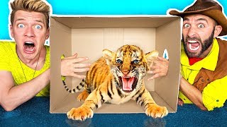 What’s in the BOX Challenge LIVE ANIMALS Gross Giant Slime Orbeez amp Real Food vs Gummy Food [upl. by Nayb]