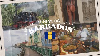 BARBADOS VLOG  6 Day Birthday Trip  Aquarius SZN  Solo Day  Travel [upl. by Norean]