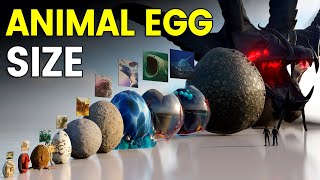 3D Eggs Size Comparison  Animal Egg Size [upl. by Brunn]