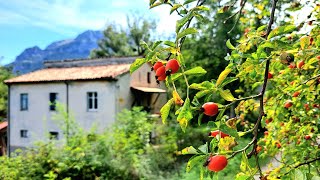 Renovating and Life in the Italian Mountains [upl. by Virgilia]