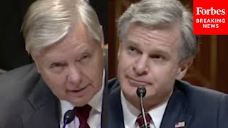 Youve Been Following The Sussman Trial Lindsey Graham Presses FBI Director Christopher Wray [upl. by Christensen]