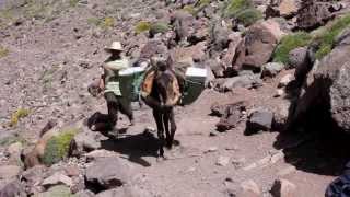 Marruecos Ascensión al Toubkal [upl. by Enyawud]