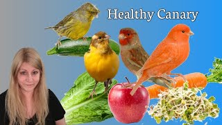 Feeding Canaries for Optimal Health [upl. by Sherard]