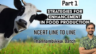 Strategies for enhancement in Food Production  Part 1  NCERT LINE TO LINE  Thannambikkai Batch [upl. by Odama]