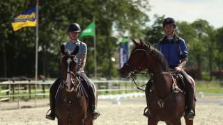 Wellant mbo  Paardensport amp houderij [upl. by Ayo]