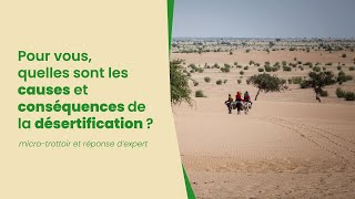 Pour vous quelles sont les causes et conséquences de la désertification [upl. by Marcell]