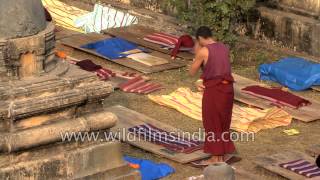 In Bihars Bodh Gaya Buddhist monks prostrate and pray [upl. by Enieledam573]