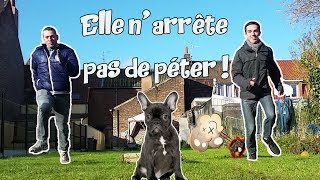 ELLE N’ARRÊTE PAS DE PETER [upl. by Bruce]