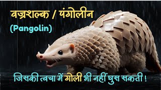 पंगोलीनpangolin सबसे अनोखा जानवर  जानिए पंगोलीन जीव के बारे में  Facts about pangolin wildlife [upl. by Aiksa]