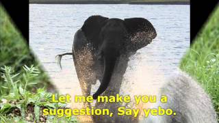 African Dance Songs for Kids amp LYRICS  quotYeboquot [upl. by Arot]