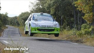 Best of Rallye 2012 HD Attack Showtime amp Crash Part 01 [upl. by Mini613]