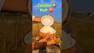 Coconut fruit 🍑🍓 shorts youtubeshorts facts [upl. by O'Callaghan]