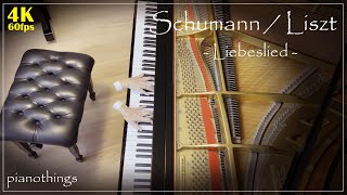 Schumann Liszt  Liebeslied  piano music [upl. by Leeann648]