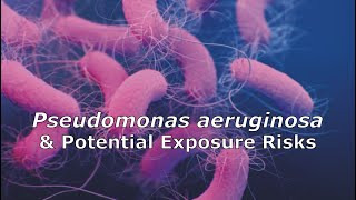 Pseudomonas aeruginosa and Potential Exposure Risks [upl. by Eberly]