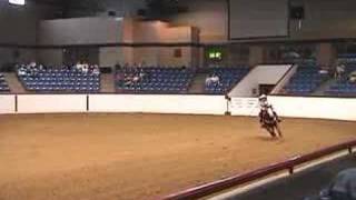 2008 APHA Paint World Championship  13 amp Under Reining [upl. by Yhtur]