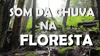 Som da Chuva  Floresta e Pássaros 3D  Dormir relaxar e estudar [upl. by Arick]