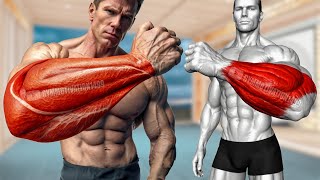 6 Best Brachioradialis Exercises [upl. by Iclek17]