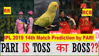 IPL 2019 Live TOSS Prediction  14th T20 Match RR VS RCB by Parrot PARI [upl. by Josselyn987]