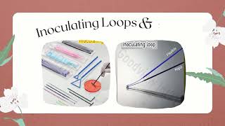 Serological Pipette amp Inoculating Loop [upl. by Arlen]