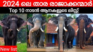 നാടൻ ആനകളിലെ താര രാജാക്കന്മാരായ 12 ആനകൾ Top 10 elephants in kerala 2023 Top 10 elephants in kerala [upl. by Clary848]