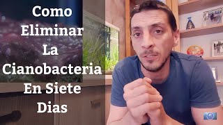 🔵 Como Eliminar La Cianobacteria De Nuestro Acuario En 7 Días Acuarios MB [upl. by Araiek]