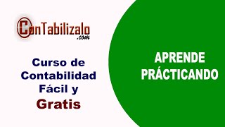 04 Cuentas Contables De Contabilidad ConTabilizalocom [upl. by Enymsaj30]