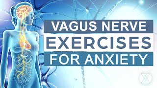 Vagus Nerve Exercises For Anxiety  Rewire Your Brain  Vagus Nerve Massage  Grounding Tools [upl. by Ahsaelat84]