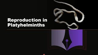 Phylum Platyhelminthes  Reproduction in Platyhelminthes [upl. by Yona]