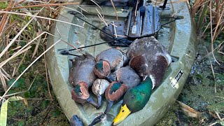 The GREENWINGS SAVED This Hunt Public Marsh Duck Hunting [upl. by Tarazi]