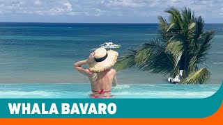 Whala Bavaro  Punta Cana Dominican Republic  Sunwing [upl. by Siskind]