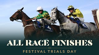 ALL RACE FINISHES FROM FESTIVAL TRIALS DAY AT CHELTENHAM RACECOURSE [upl. by Micaela]