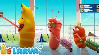 Larvas Animadas Nuevos Episodios 2022 🍬 1 Hora 🧀Larva Episodio Completo 🧇Larva Nuevos Capitulos 2022 [upl. by Tletski941]