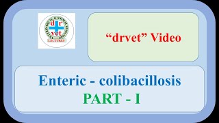 Enteric colibacillosis Part 1 [upl. by Dorwin]