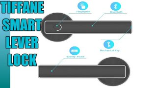 Tiffane Biometrics Smart Door Lever Lock [upl. by Accebber960]