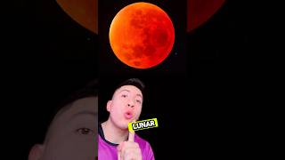 EL PRIMER ECLIPSE LUNAR DEL 2024🌒😱🤯short viral casos sabiasque noticias curiosidades [upl. by Eessej39]