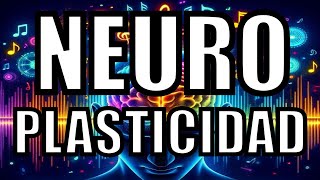 Que es la Neuroplasticidad El Arte de un Cerebro en Constante Transformación [upl. by Anael823]