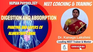 Digestion and Absorption Pharynx and Layers  Dr Kanaga Lakshmi  NEET Biology 2023  NEET Coaching [upl. by Yssac]